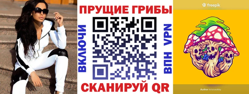 где купить наркоту Аксай Галлюциногенные грибы ЛСД